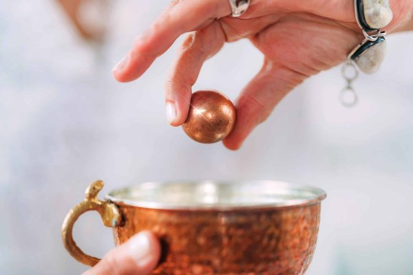 Can Dogs with a History of Aggression Be Successfully Reintegrated into a Household?